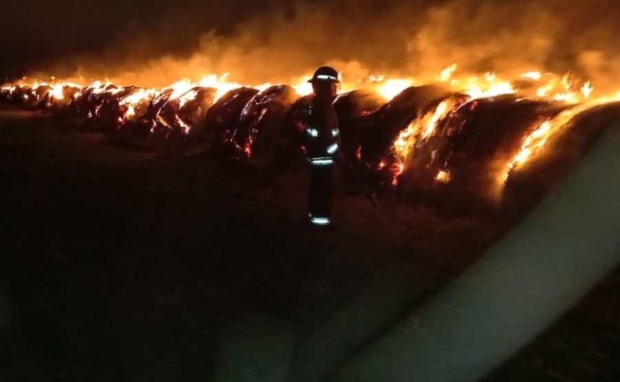 Bomberos Zapadores y Voluntarios lucharon contra las llamas en el límite rural con barrio San José.