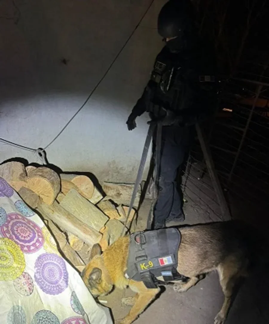 Los canes de la Policía de Córdoba en pleno trabajo antinárcotico.