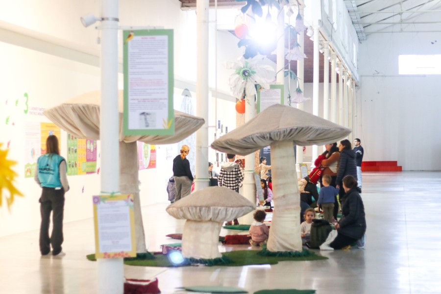Los turnos se podr&aacute;n solicitar a partir de agosto.