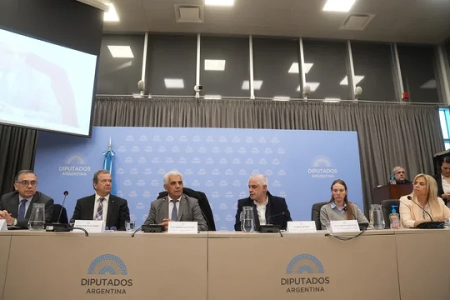 La miner&iacute;a, una de las actividades que busca beneficiar el RIGI.