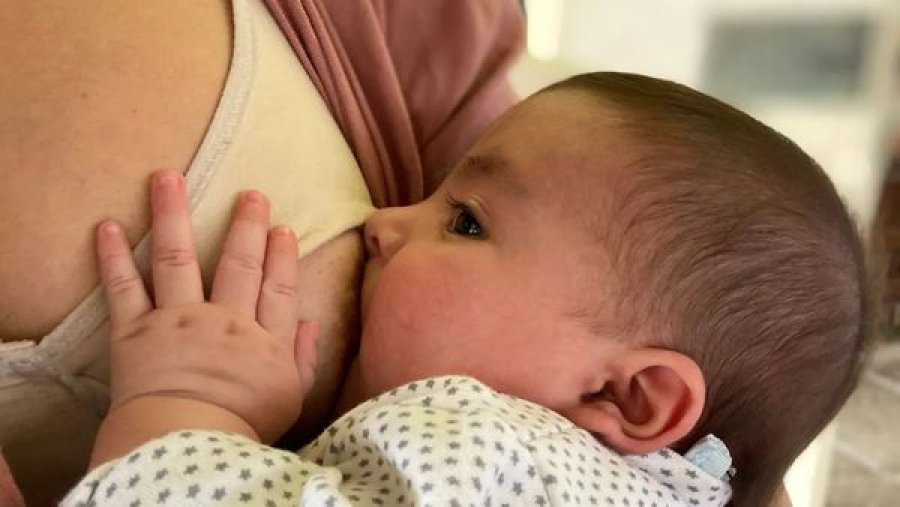 Est&aacute;n desarroll&aacute;ndose diversas actividades para  destacar la fecha.