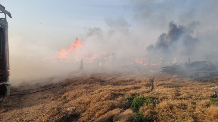 Cuatro de los focos se originaron por las llamas sobre pasturas secas y rollos de alfalfa.