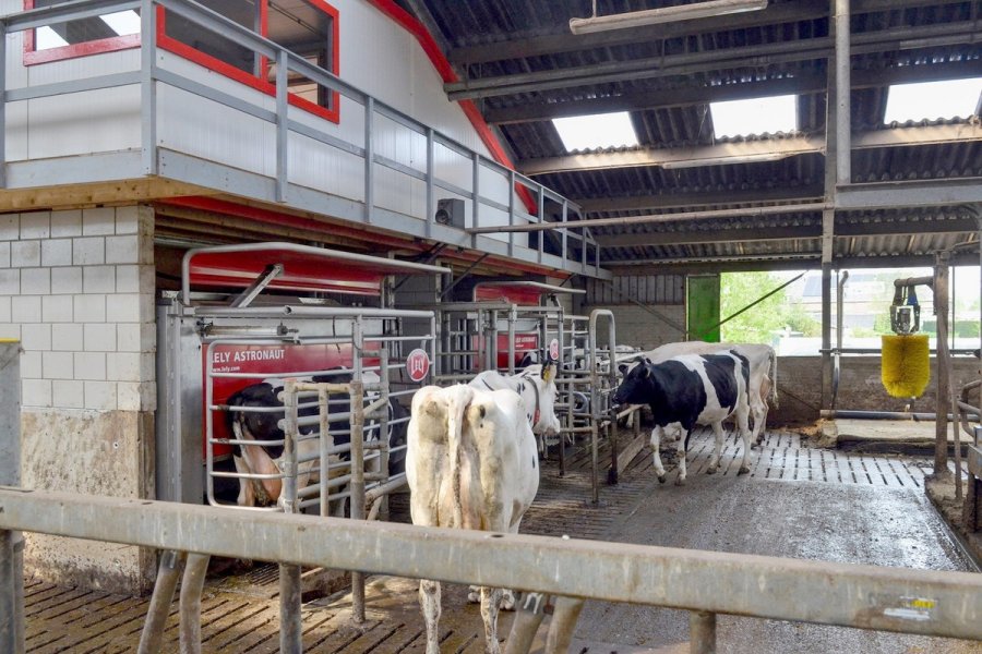 INVERSIÓN. La nueva fisonomía que están tomando los tambos de la región con los sistemas robotizados.