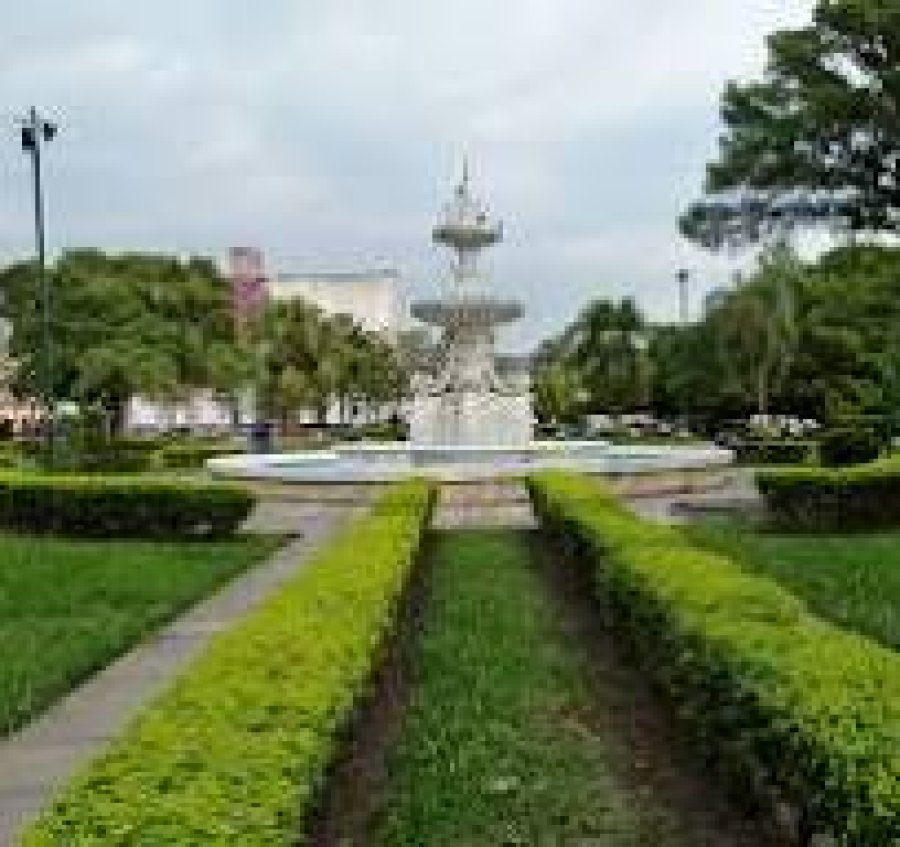 El paseo público fue elegido para el encuentro dominguero.