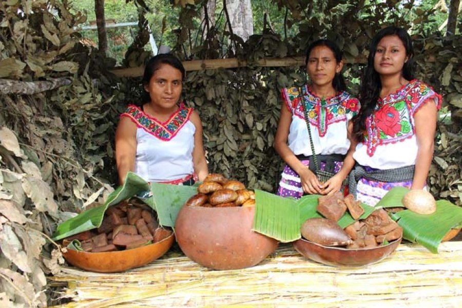 mujeres indígenas ofreciendo su gastonomía.