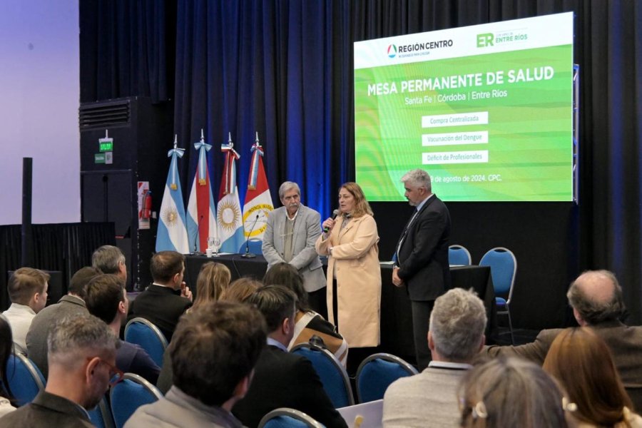 EN PARANA. Silivia Ciancio, ministra de Salud de Santa Fe, particip&oacute; de una nueva reuni&oacute;n de la Mesa Permanente de Salud de la Regi&oacute;n Centro.