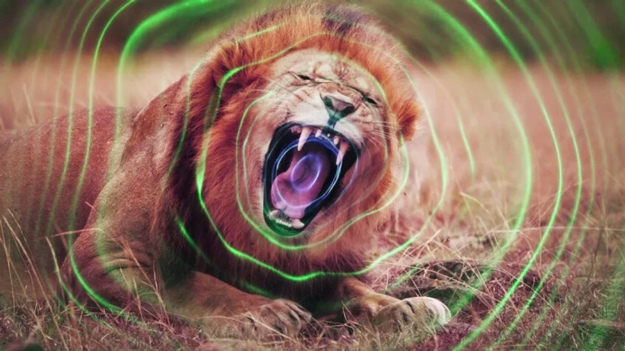 Documental de tres episodios.