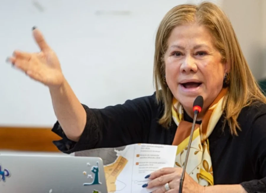 Graciela Cama&ntilde;o, ex diputada nacional.