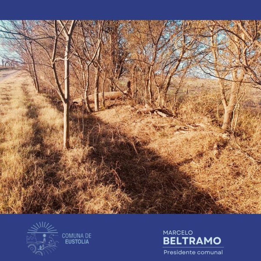 Zanjas y cunetas deber&aacute;n estar libres de malezas.