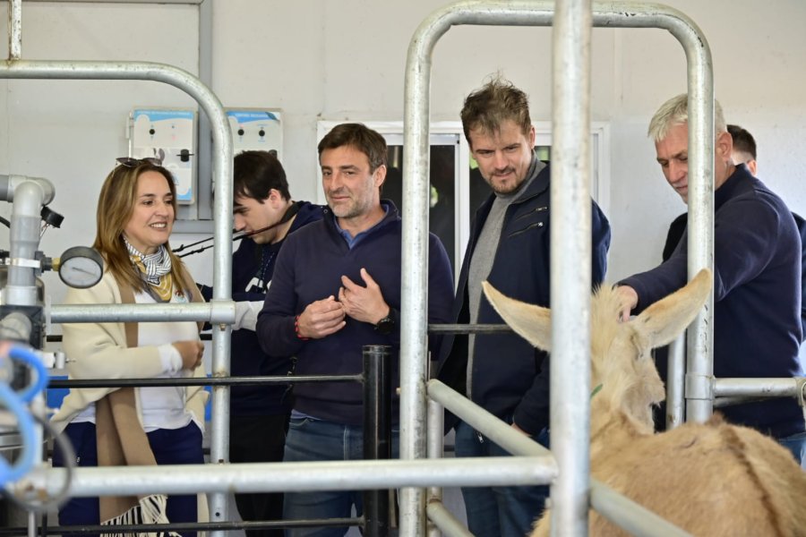 La vicegobernadora de la provincia de Córdoba, Myrian Prunotto, en el tambo Equslac en Tío Pujio.