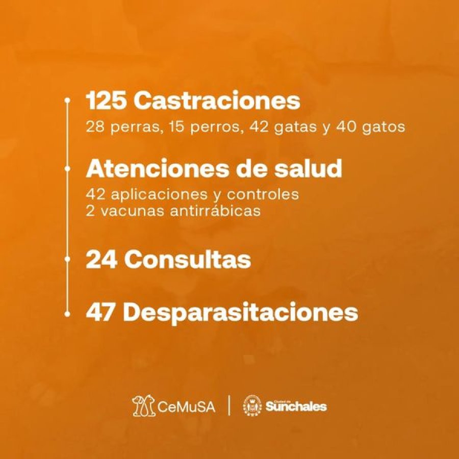 El resumen de las intervenciones del mes anterior.