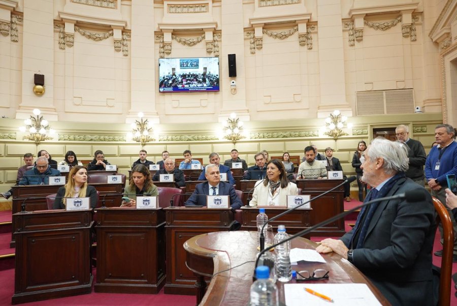 Los diputados Clara Garc&iacute;a, Pablo Far&iacute;as, Gisel Mahmud y Lionela Cattalini en primera fila.