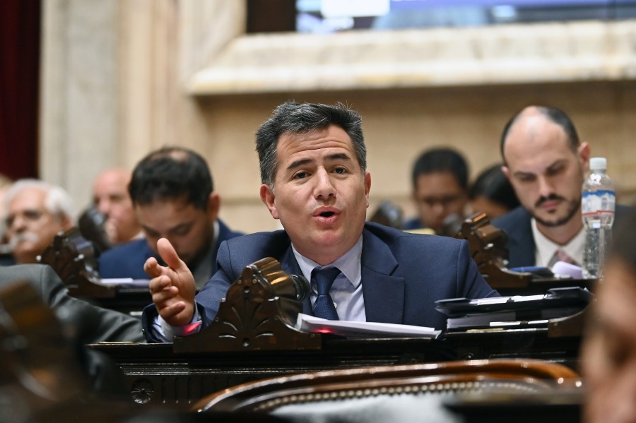 &ldquo;Este registro gen&eacute;tico de abusadores y violadores ayudar&aacute; a transformar el pa&iacute;s", dijo Gabriel Bornoroni, del bloque de La Libertad Avanza.