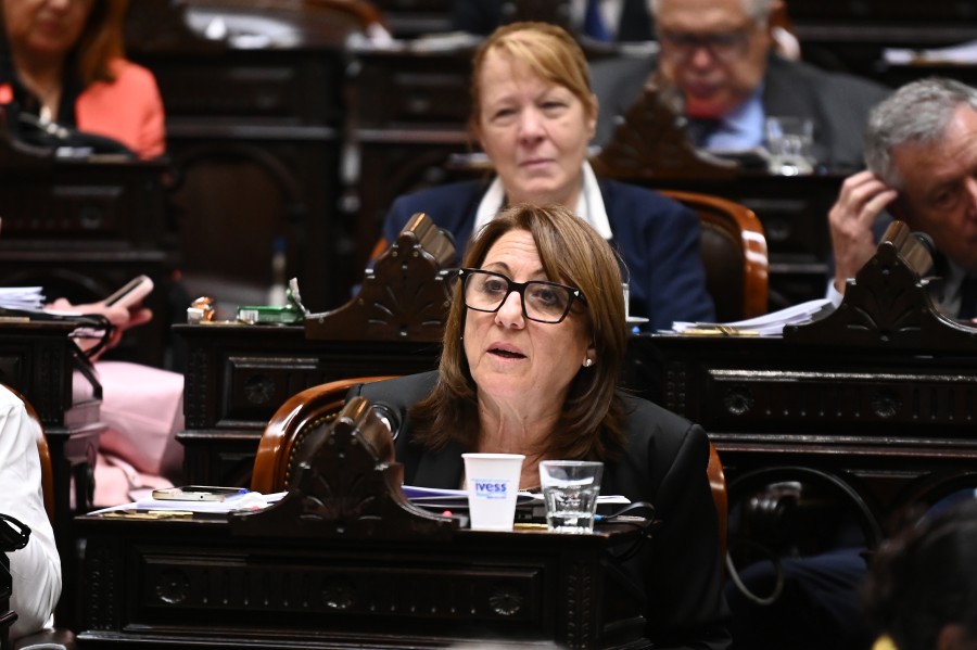 &ldquo;Indicamos nuestro apoyo a esta ampliaci&oacute;n sobre las posibilidades de la investigaci&oacute;n de los delitos complejos de nuestro pa&iacute;s, ya que ser&aacute; un gran avance para la detecci&oacute;n a partir de datos gen&eacute;ticos&rdquo;, dijo la socialista santafesina, M&oacute;nica Fein.