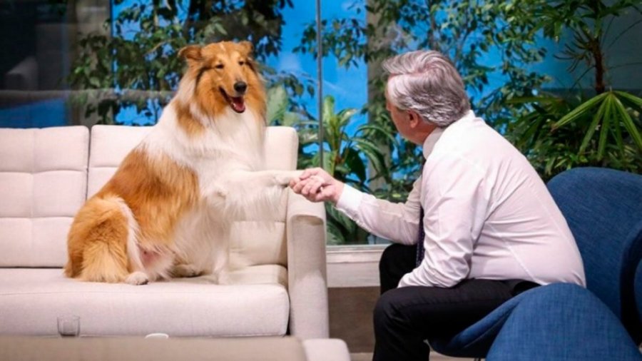 Dylan, el perro del ex presidente Alberto Fern&aacute;ndez.