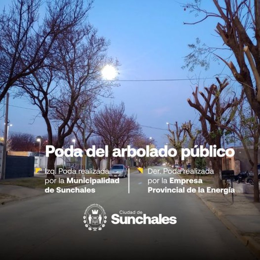 Im&aacute;genes difundidas desde el Municipio.