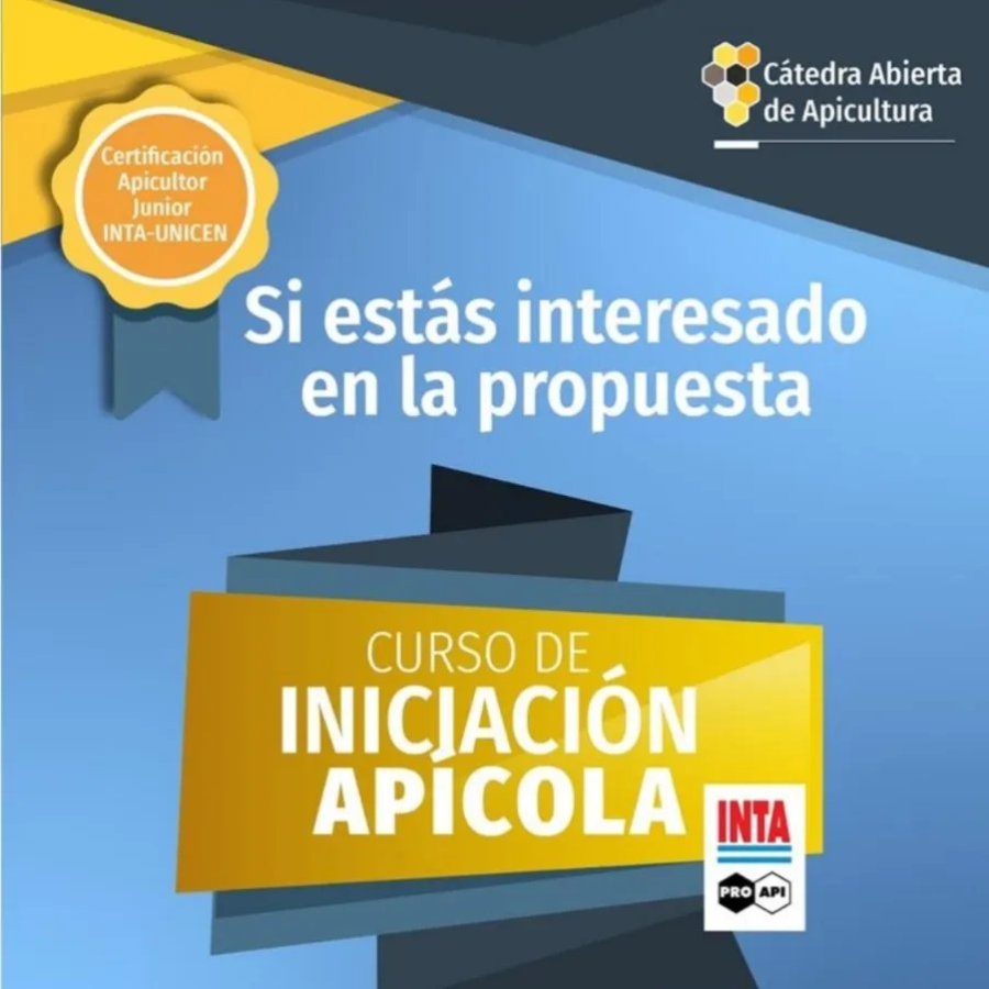 Promoci&oacute;n de la actividad.