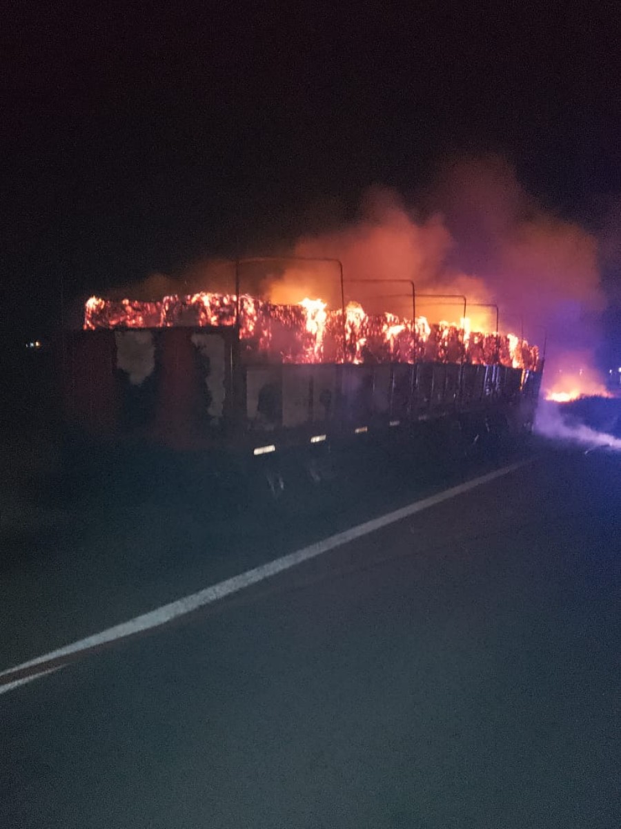 Bomberos Zapadores y Voluntarios trabajaron sin pausa.