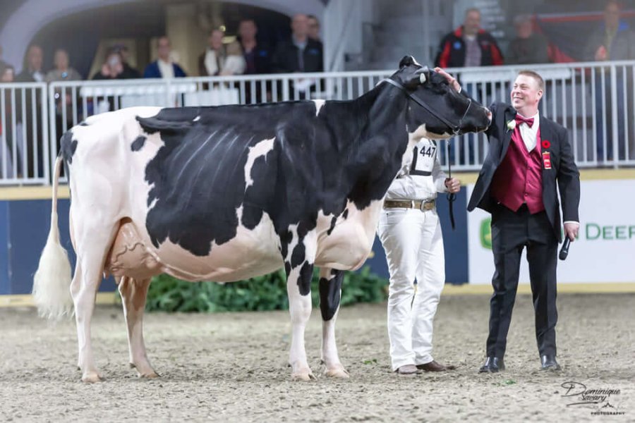 EXCELENCIA. Jamie Black vendrá a Rafaela una semana antes de jurar en "La Madison". Sin dudas, un acierto de la Rural.