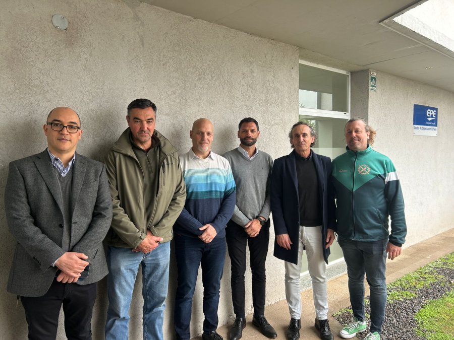 Baldomir, Leurino, Latino, Berrino, Allegranza&nbsp;y&nbsp;Beccaria