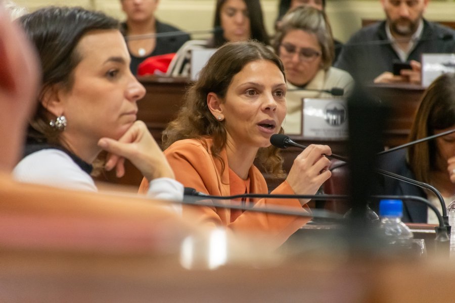 GISEL MAHMUD. La diputada Gisel Mahmud encabez&oacute; la Jornada &ldquo;Apuestas online y ludopat&iacute;a&rdquo;.
