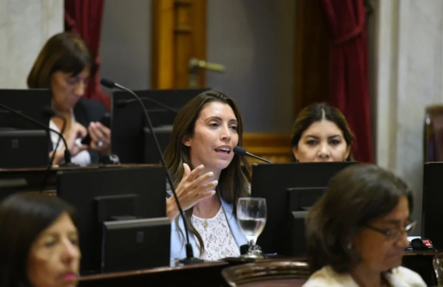 La senadora por La Rioja Florencia L&oacute;pez.
