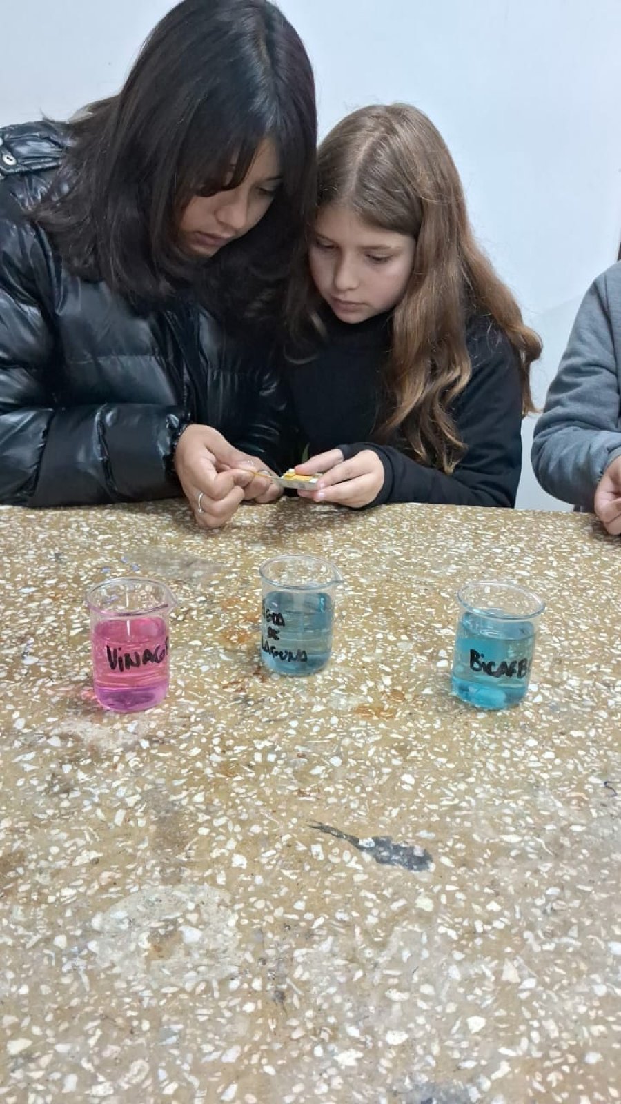 Alumnas trabajando en el laboratorio.