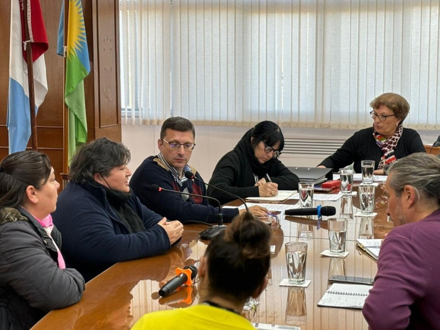 Ramona Ramallo y Marcela Arrieta junto a los concejales.