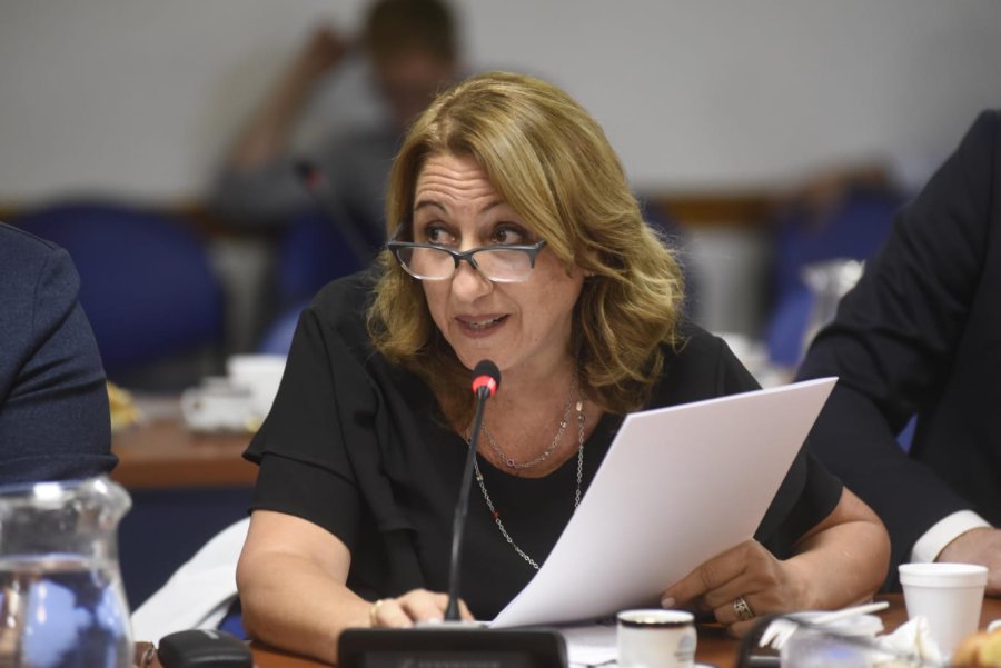 DIPUTADA NACIONAL. M&oacute;nica Fein, legisladora santafesina representante del Partido Socialista.