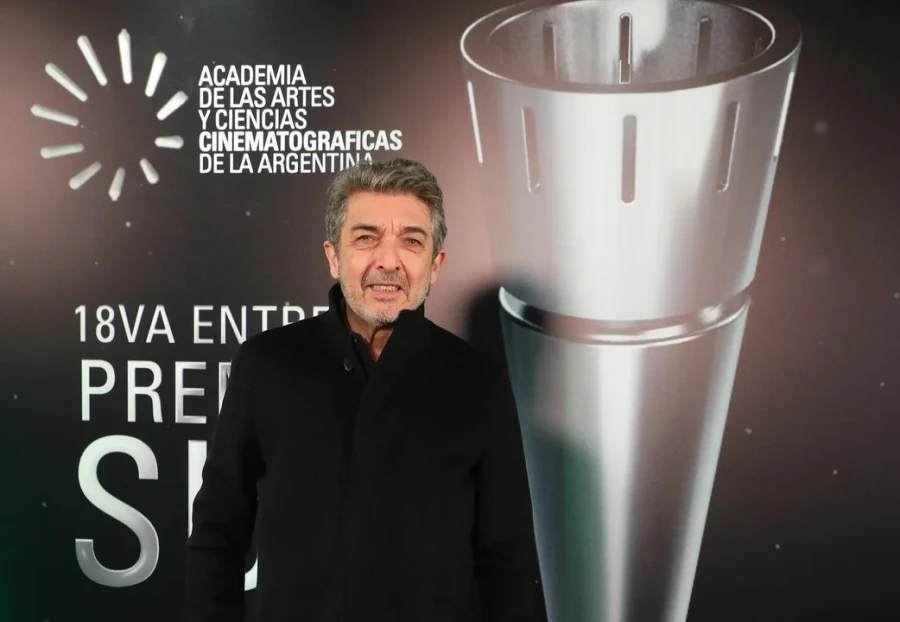 Ricardo Dar&iacute;n en los Premios Sur.