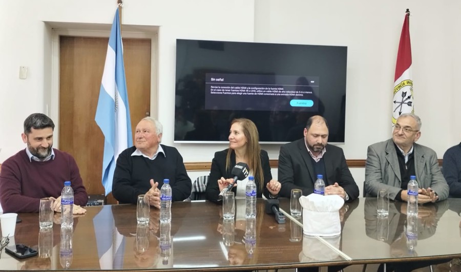 LANZAMIENTO. Vista parcial de la mesa cabecera en el acto de presentaci&oacute;n.