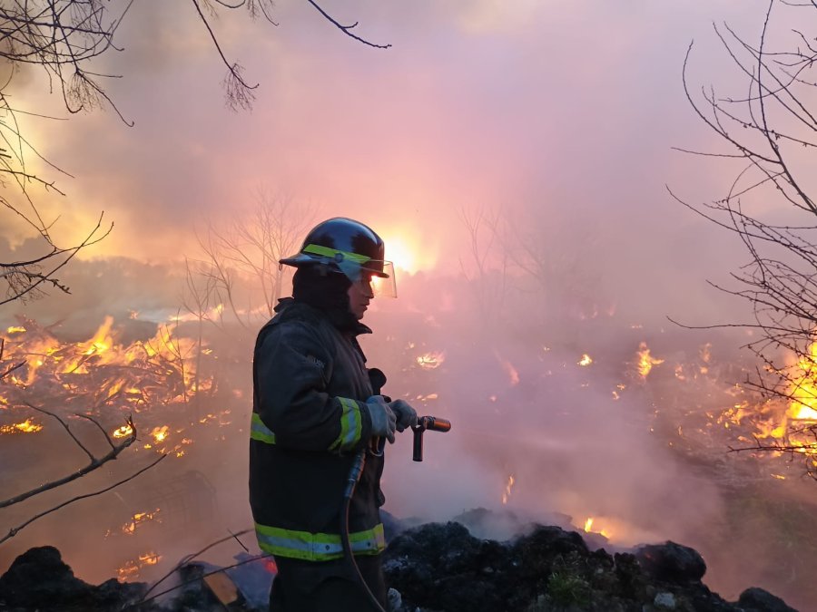 BOMBEROS. - Concurrieron en tres oportunidades a luchar con el incendio desatado en 24.000 m2.