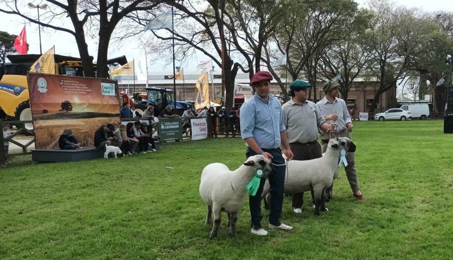 ANIMALES DE GRANJA. Siempre son una de las atracciones en cada edici&oacute;n de la Expo Rural de nuestra ciudad.