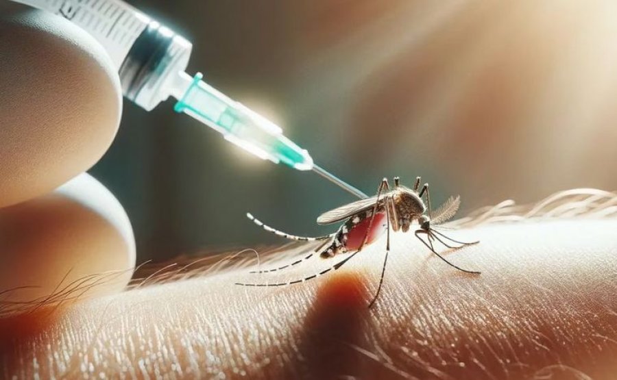 ARRANCAN LOS JOVENES. Santa Fe pondr&aacute; en marcha este lunes la campa&ntilde;a de vacunaci&oacute;n gratuita contra el dengue.