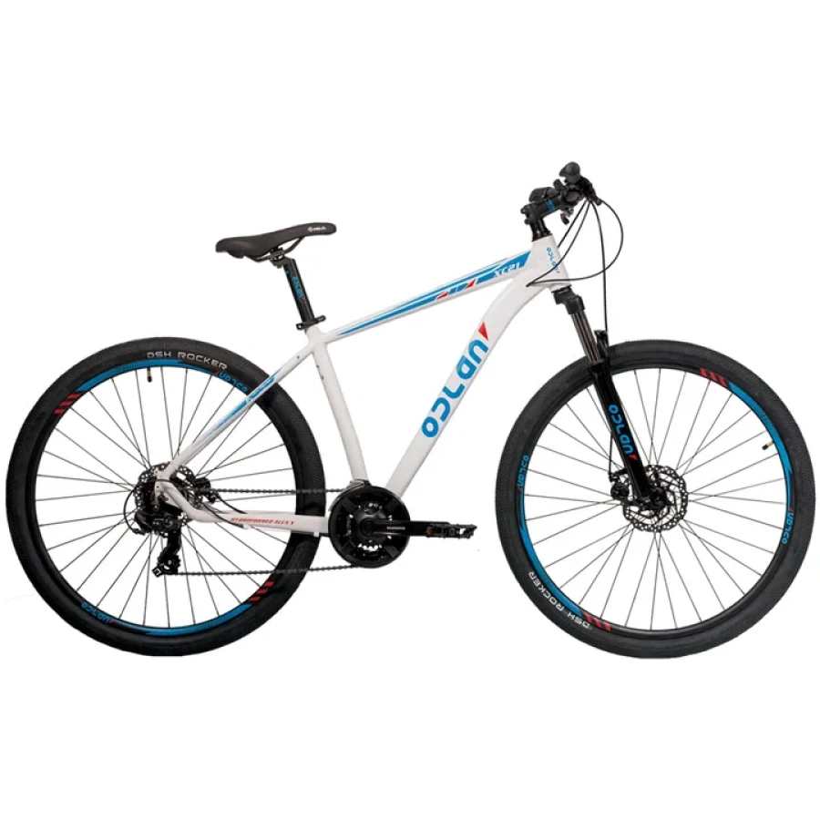 El Gobierno simplifica el procedimiento para la importaci&oacute;n bicicletas.