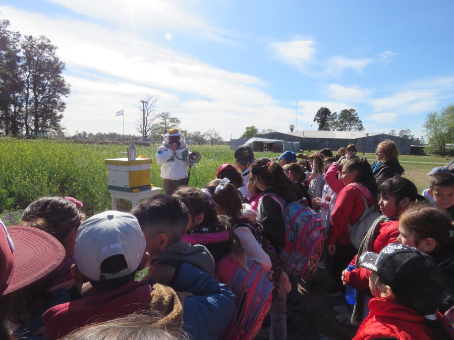 Los alumnos y docentes también reciben formación sobre apicultura.