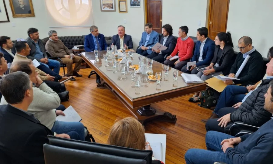 Vista general del encuentro realizado en la Casa Gris.