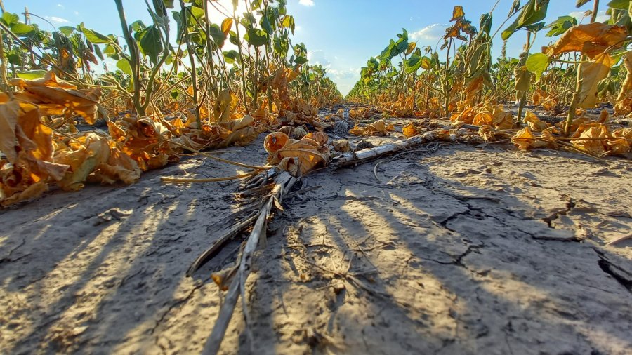 TRIMESTRE SECO. Informe del SMN asegura el regreso de "La Ni&ntilde;a" para los meses de septiembre, octubre y noviembre.