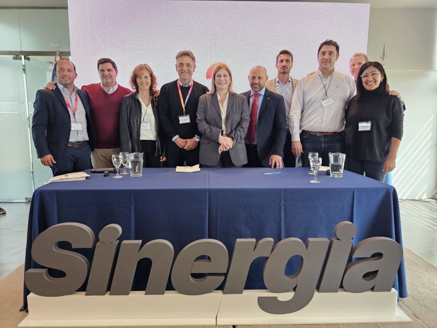 Primer seminario-taller Sinergia.