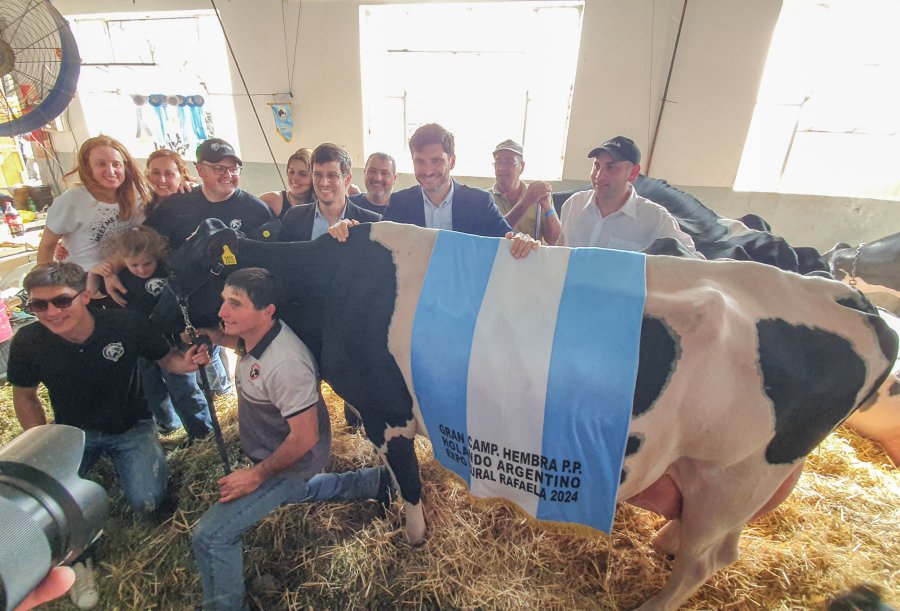 Un sonriente Pullaro con una de las vacas ganadoras en los concursos de la ExpoRural. (FOTO D. CAMUSSO)