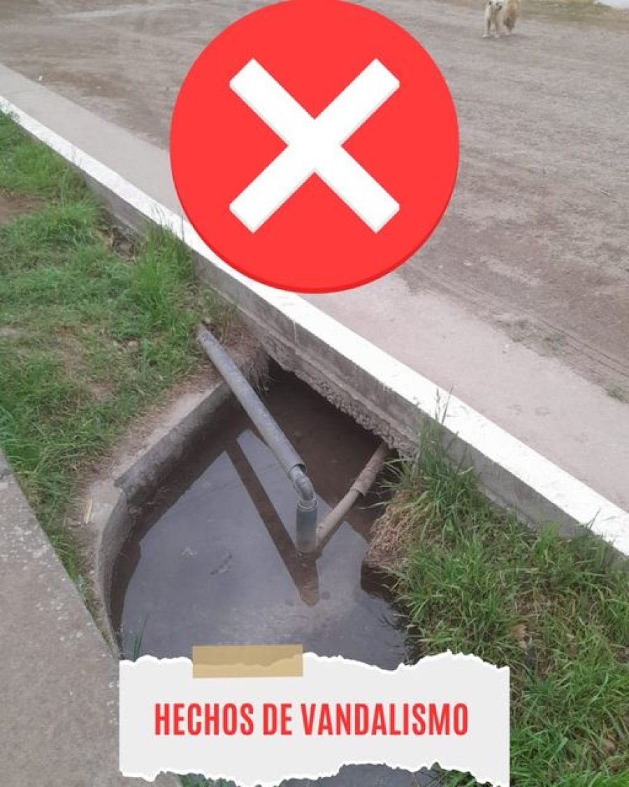 La ca&ntilde;er&iacute;a que fuera objeto del atentado.