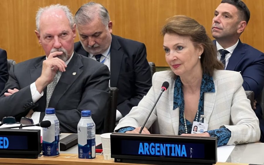 Diana Mondino Anunció en la ONU la "disociación" argentina de la cumbre mundial.