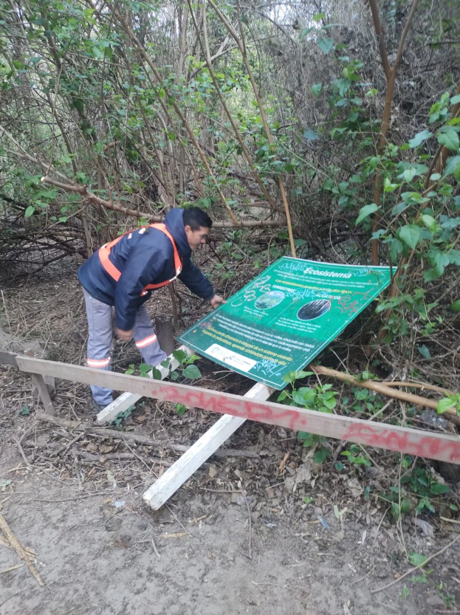 MEJORAS. El municipio contin&uacute;a trabajando en la recuperaci&oacute;n y mantenimiento del Bosquecito Besaccia.