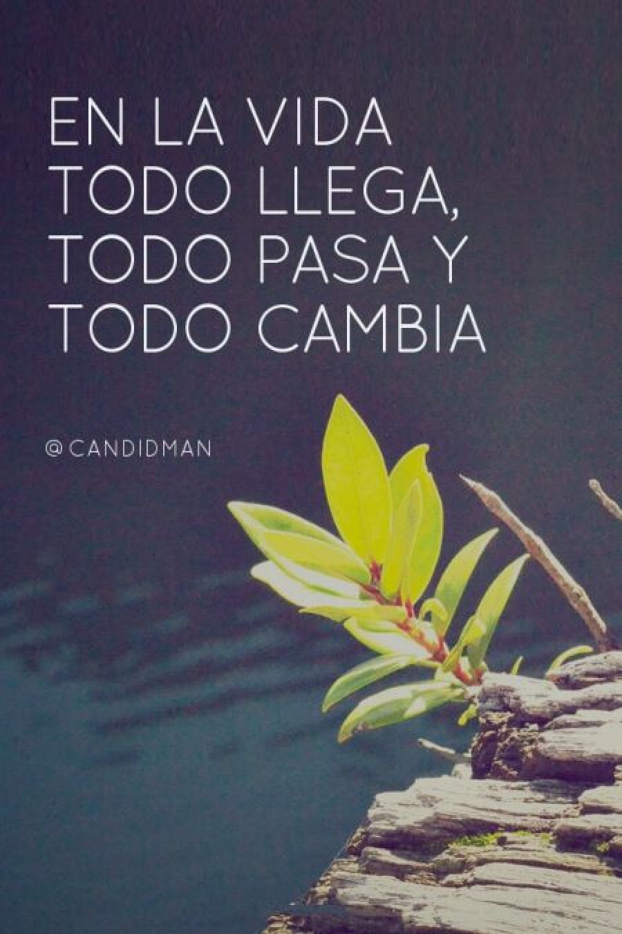 &ldquo;Cambia lo superficial, cambia tambi&eacute;n lo profundo; cambia el modo de pensar, cambia todo en este mundo".