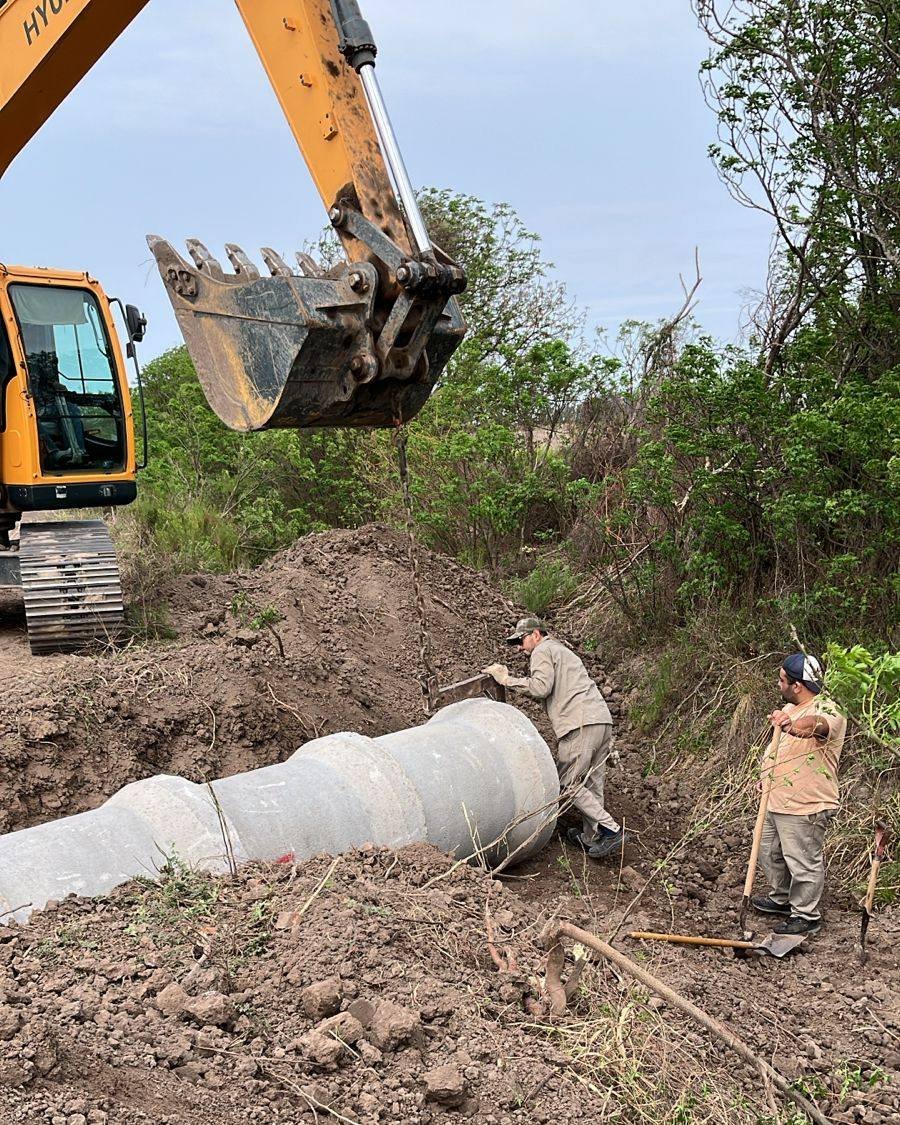 los obreros en plena labor.