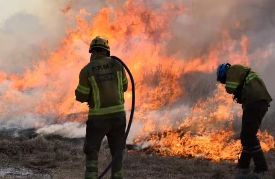 Agua.Zapatillas (porque el calor del piso les ha quemado las zapatillas a la gente).Mercader&iacute;a (comida no perecedera).Dinero (para hacer frente a tantas necesidades).
