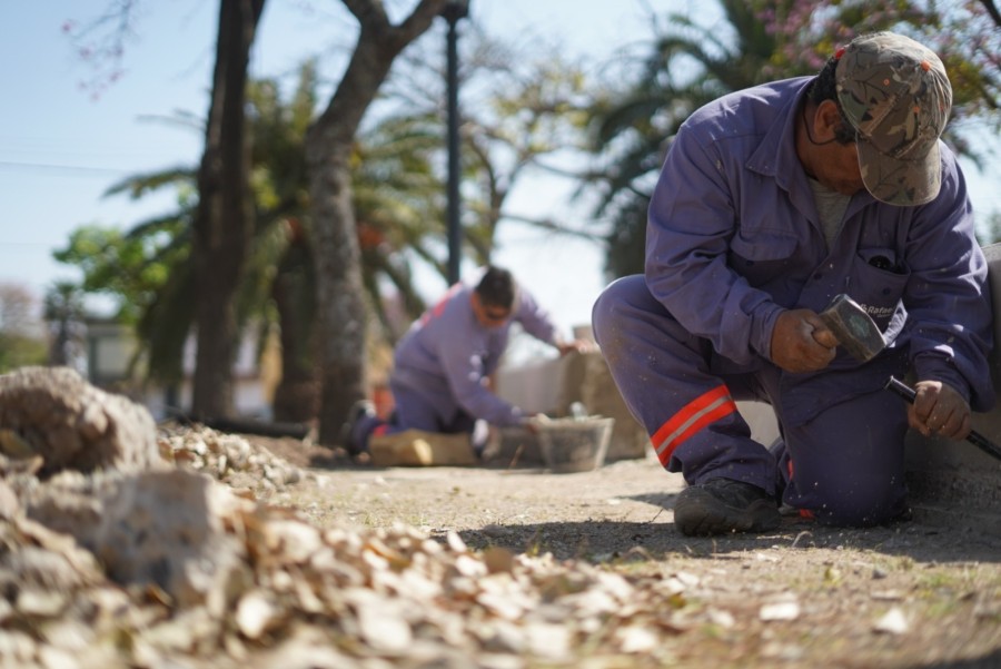 La secretaria mencion&oacute; que &ldquo;tambi&eacute;n se realizaron intervenciones en los bancos de hormig&oacute;n que, actualmente, se encuentran en el &uacute;ltimo tramo&rdquo;.