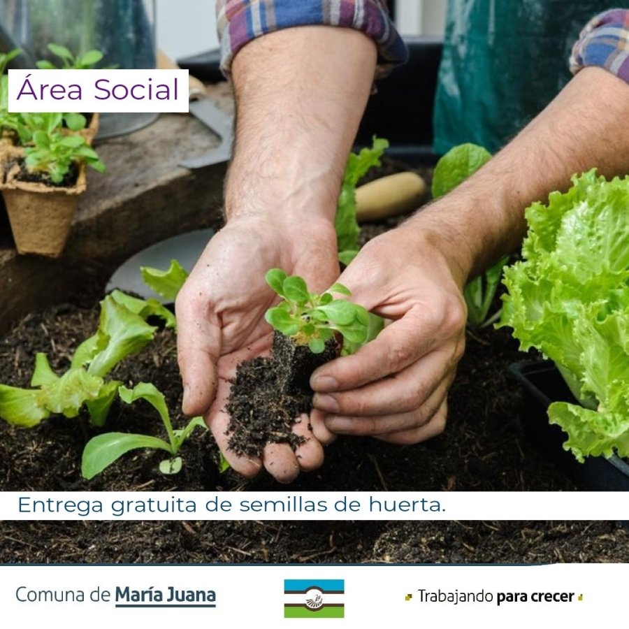 As&iacute; la Comuna difund&iacute;a la propuesta.