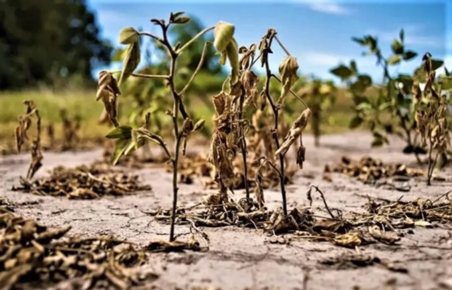 La sequ&iacute;a preocupa en Argentina y el cambio clim&aacute;tico a la juventud en particular.