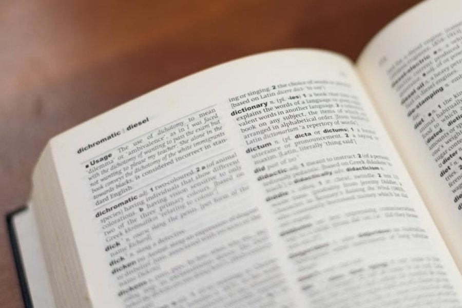 La traducci&oacute;n suele ser un puente que conecta diferentes culturas y comunidades, pero tambi&eacute;n puede reflejar desequilibrios de poder.
